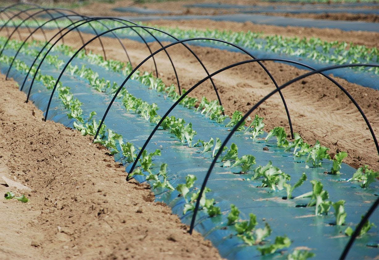 Arceau en PVC souple - Jardins de l'écoumène