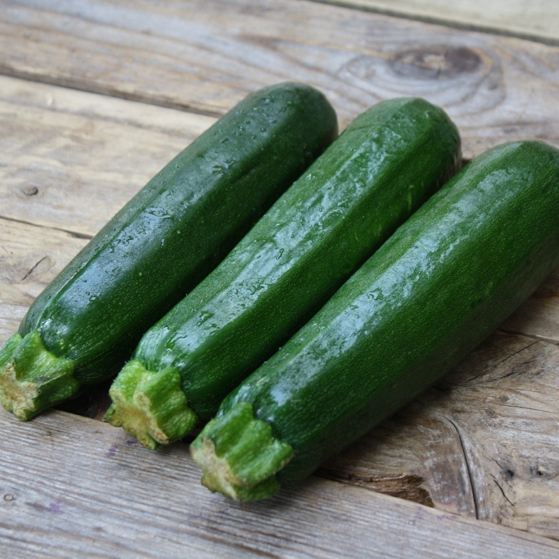 Courgette Dark Green - Bio - Jardins de l'écoumène