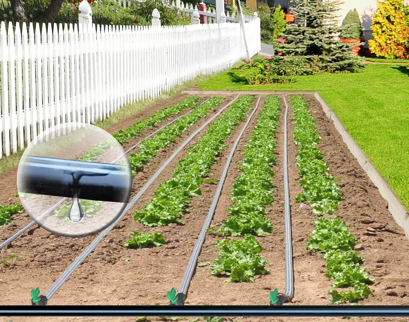 Ensemble d'irrigation par goutte à goutte pour jardin de BioPlus - Jardins  de l'écoumène