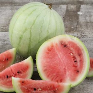 Grosses soldes! 100 mini graines de melon sucré Melon Arbre de graines non  OGM biologiques fruits et légumes pour le jardin de la maison Bricolage -  Arcis nouvelles : : Jardin