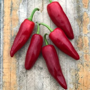 Gorria pepper - Organic