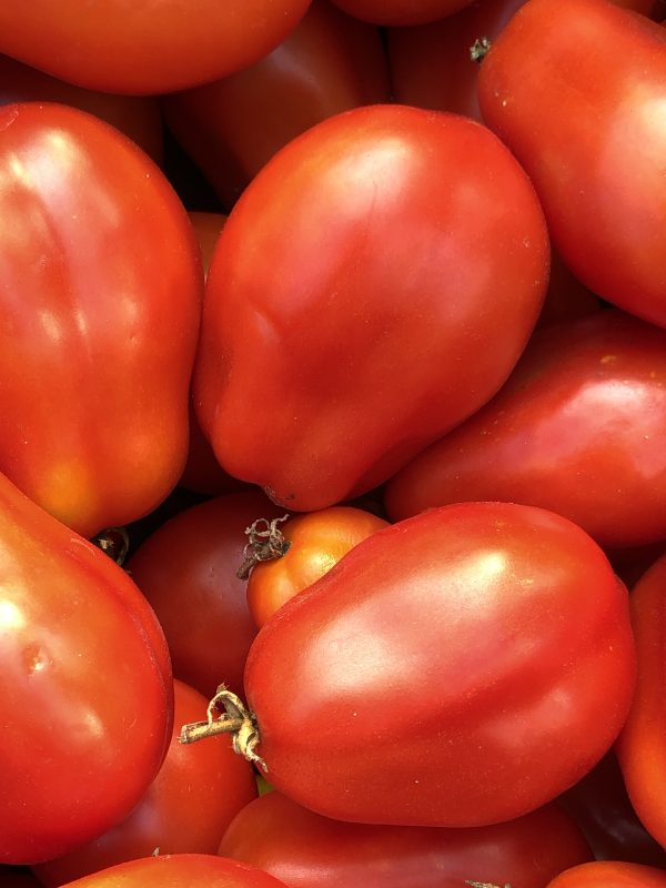 Tomate italienne Roma - Bio – Image 2