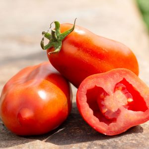 Tomate italienne San Marzano - Bio