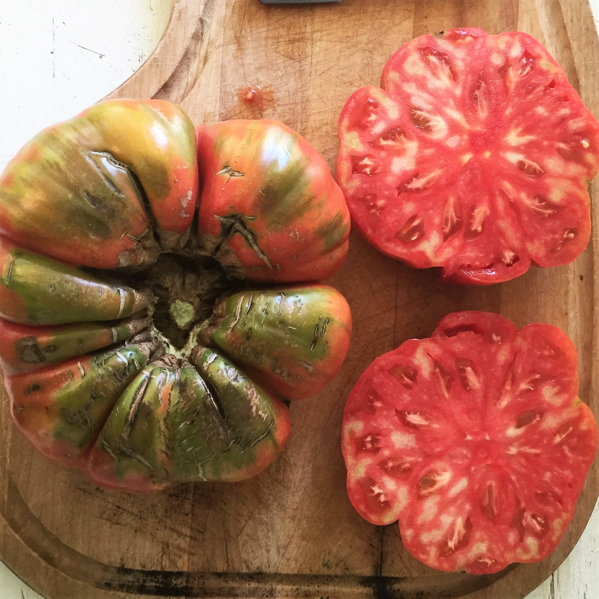 Tomate Italienne (type Beefsteak) Bio - La Boîte à Graines