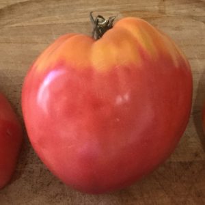 Tomate cœur de boeuf Anna Russian - Bio