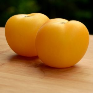Tomate standard Garden Peach - Bio