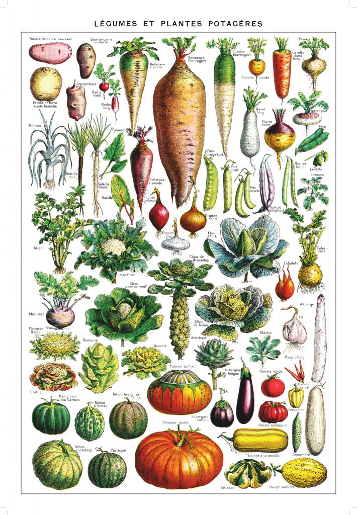 Affiche Legumes Et Plantes Potageres Jardins De L Ecoumene