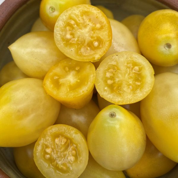 Tomate raisin Barry's crazy - Bio – Image 2