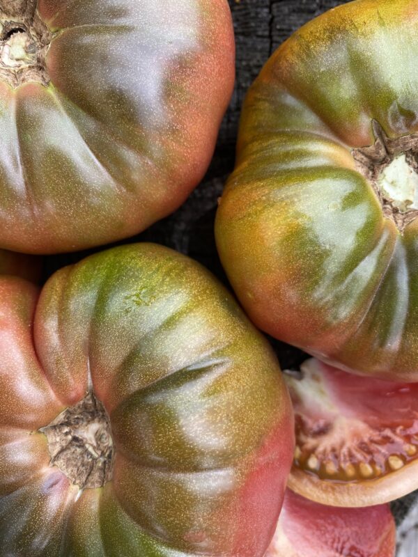 Tomate standard Noire de Crimée - Bio – Image 2