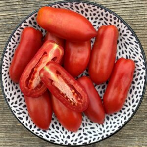 Tomate italienne Dix doigts de Naples - Bio