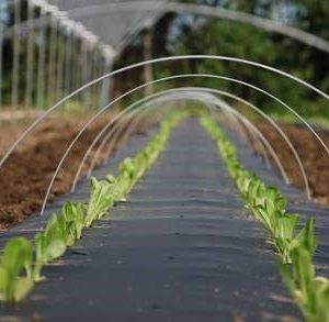 30 PIÈCES COUVERTURES de protection des plantes en plastique