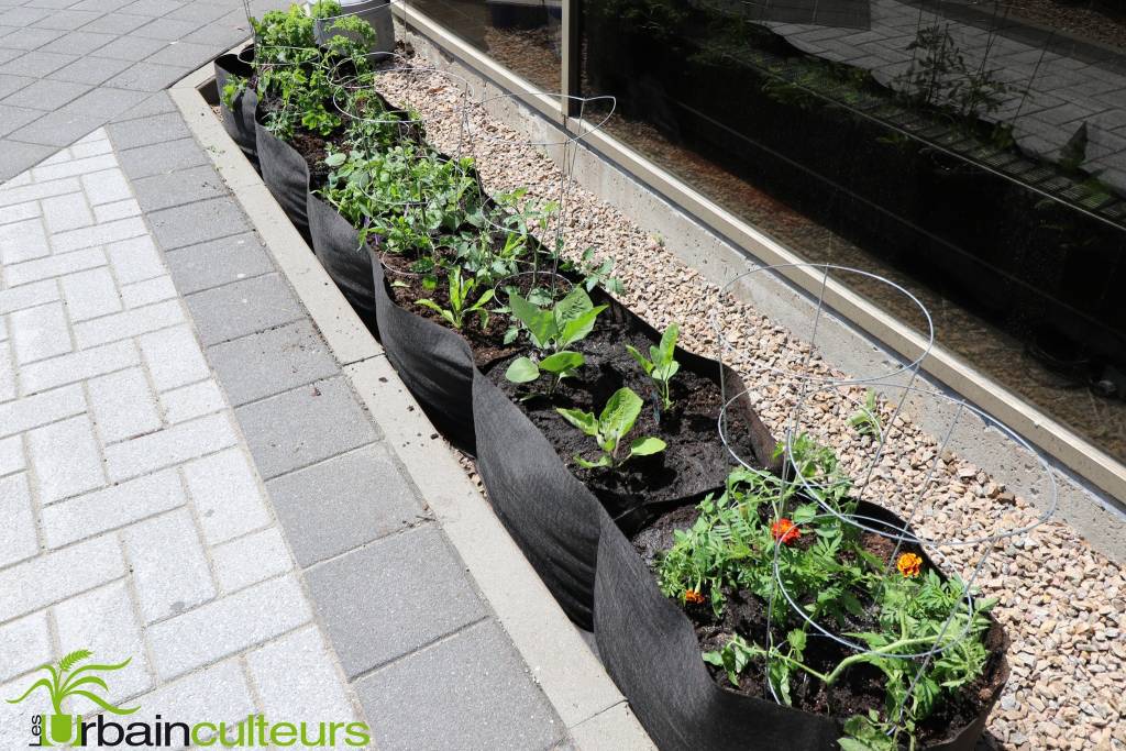 Jardin rectangulaire Big Bag Long Bed - Jardins de l'écoumène