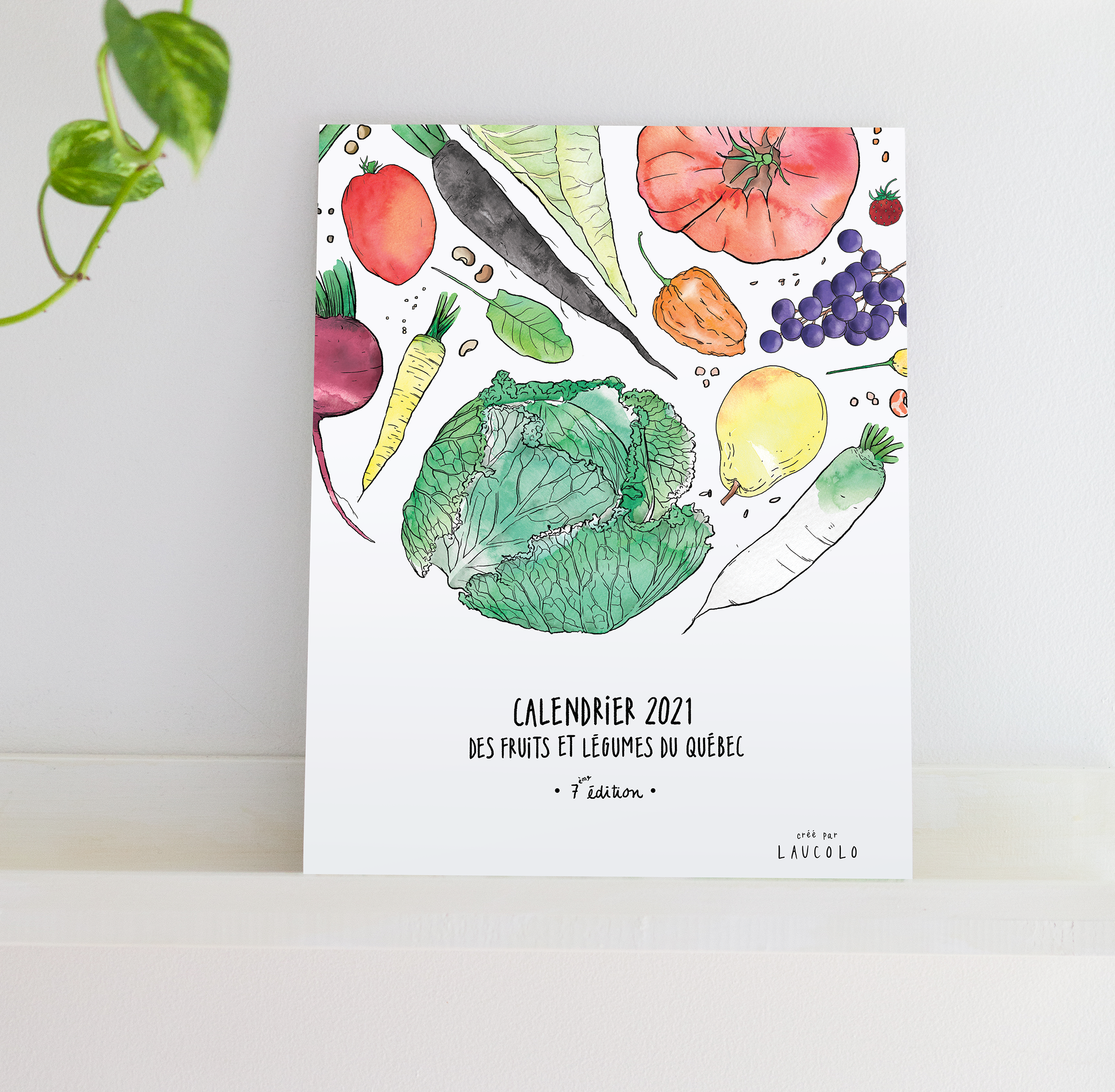 Calendrier 2021 Des Fruits Et Des Legumes Du Quebec Jardins De L Ecoumene calendrier legume 2021