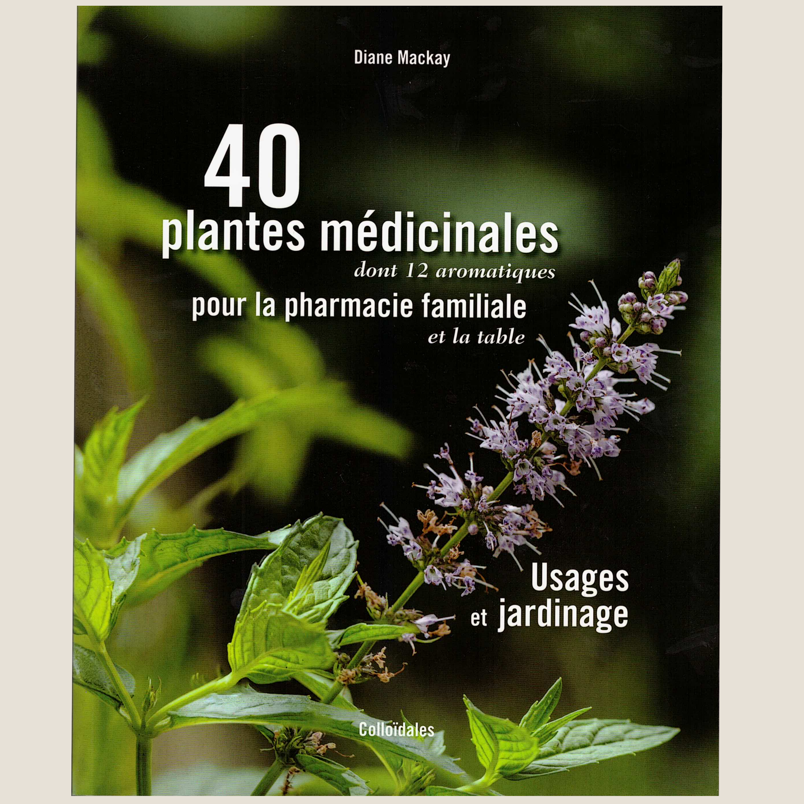 Herbes biologiques – Raifort pour le jardin biologique