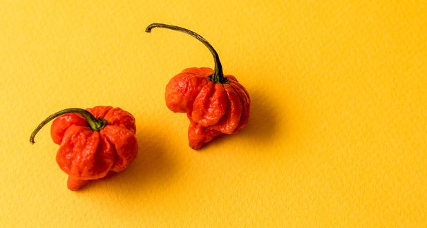 L'Académie du Goût - Vous aimez les plats relevés ? 🌶 Voici quelques uns  des piments classés sur l'échelle de Scoville du moins fort (neutre) au  plus fort (explosif) avec leur taux