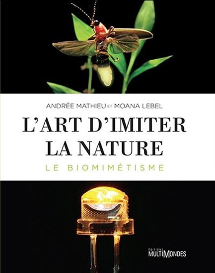 The art of imitating nature - Biomimicry