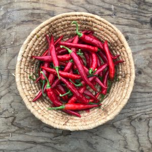 Tout savoir sur le piment de Cayenne