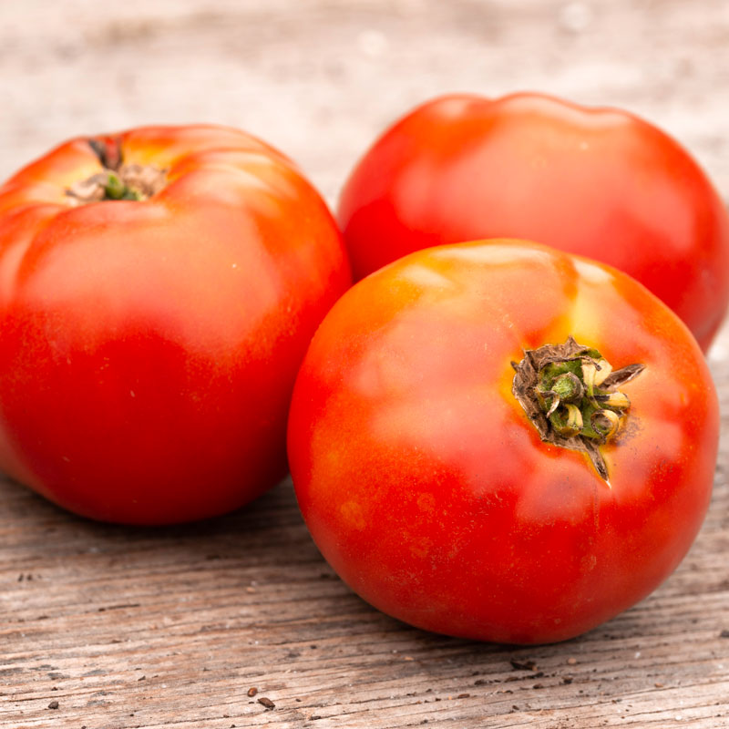 En saison: Les tomates - Le Panier alimentaire canadien