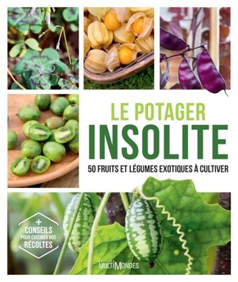 Insolite : des fruits et légumes exotiques produits en Normandie