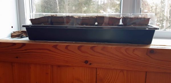 Plateau pour rebord de fenêtre – Image 3