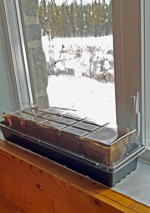 Plateau pour rebord de fenêtre – Image 2