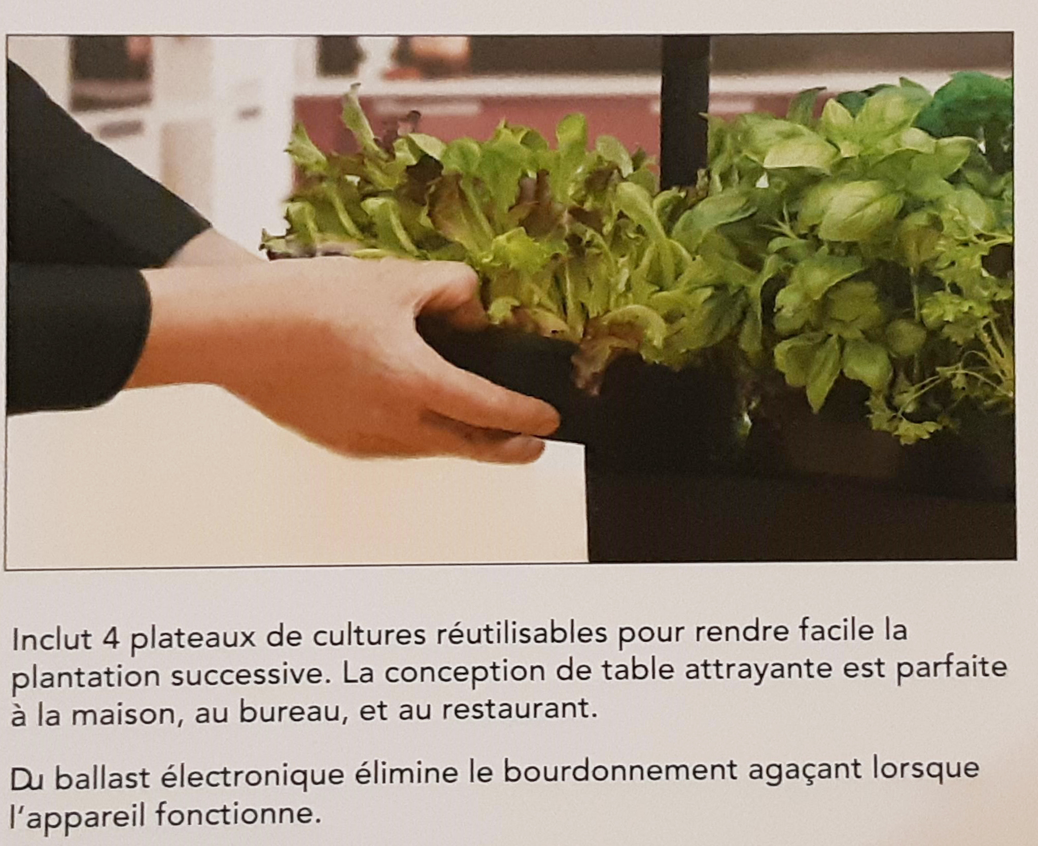 Micropotager d'intérieur Growlight Garden de SunBlaster - Jardins