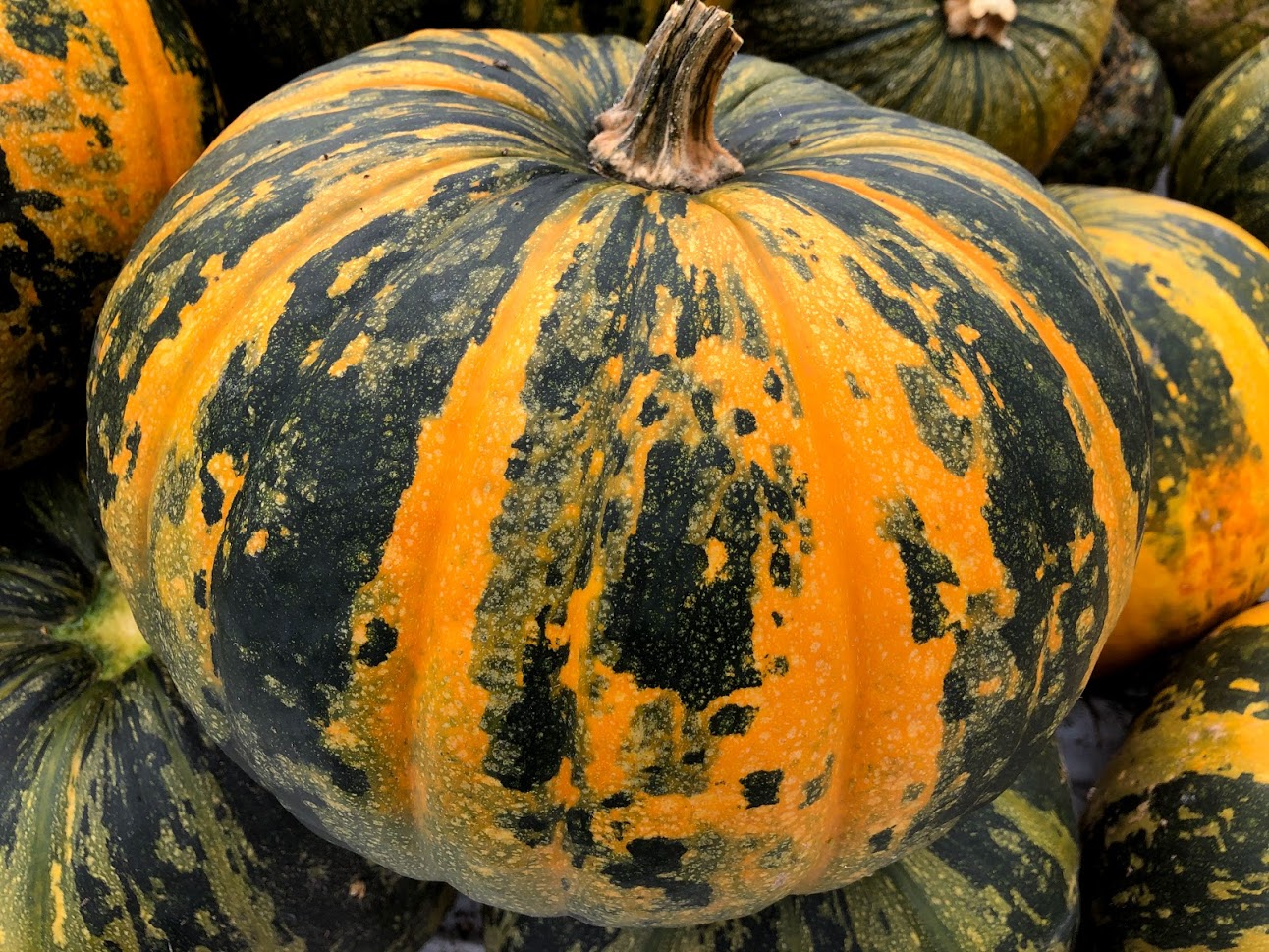 Graines de citrouille Sans Écale 290g