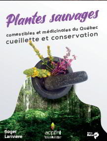 10 adresses où acheter des plantes et des fleurs à Québec