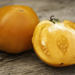Tomate standard Ananas - Bio - Jardins de l'écoumène