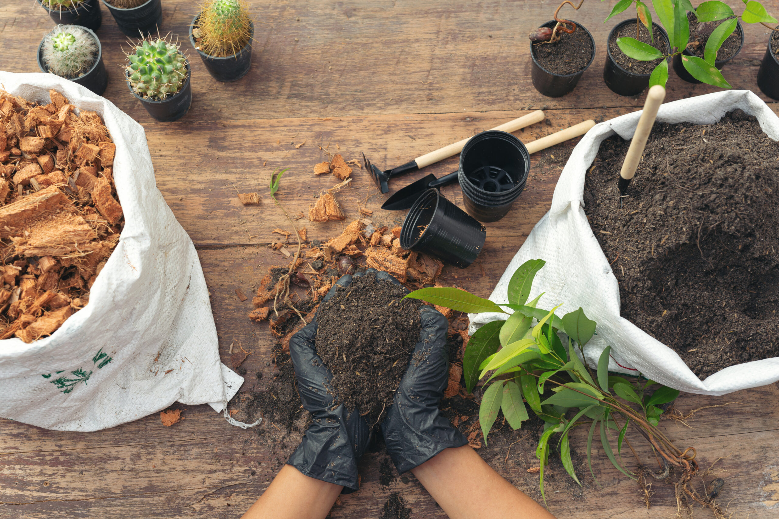 Tout savoir sur la paille en paillage au potager