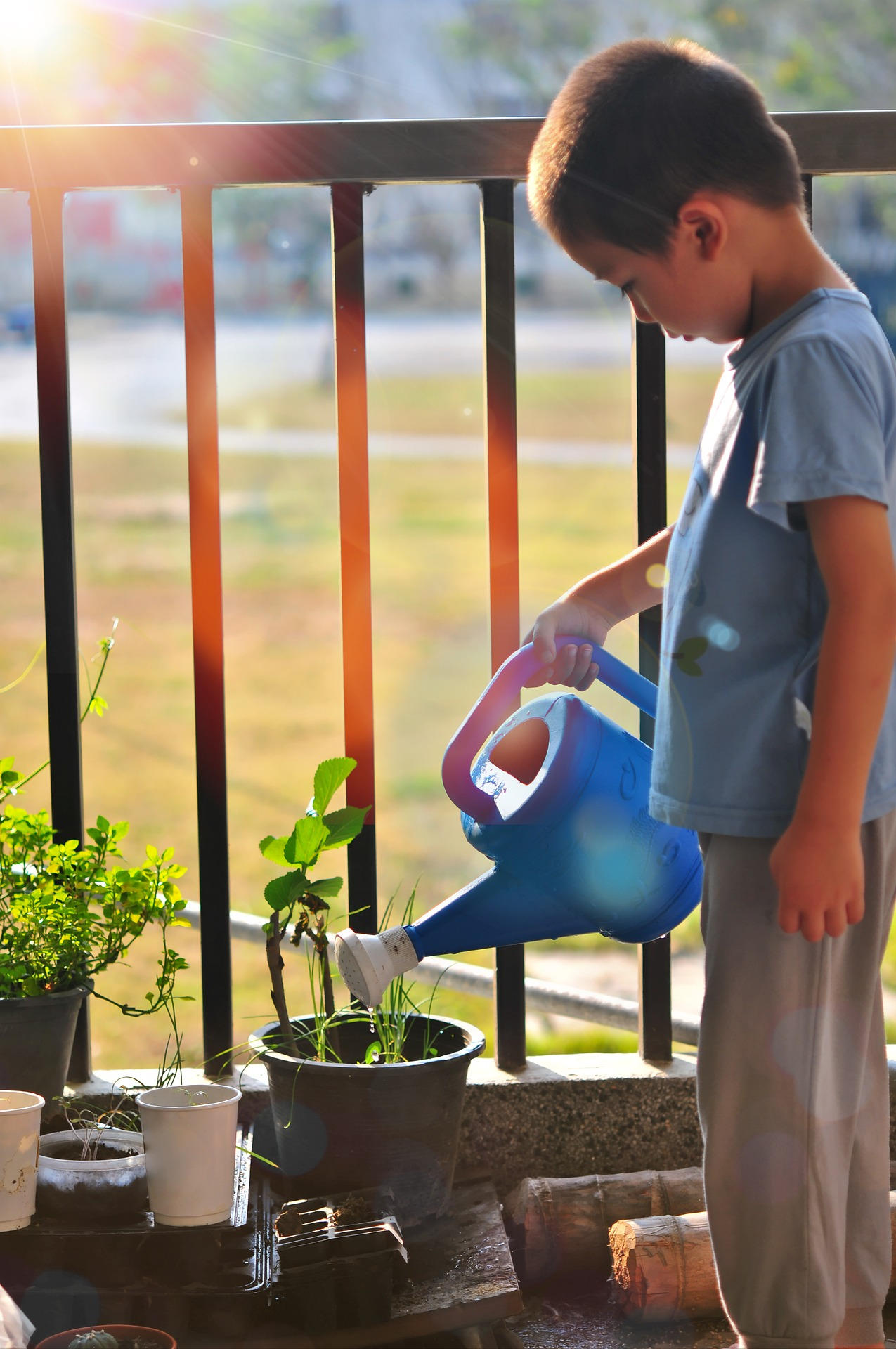 Arroser Les Plantes à Fleurs En Utilisant Un Tuyau D'eau Sous Pression Pour  Vaporiser L'eau Douce Sur L'herbe Et Les Plantes Dans Photo stock - Image  du boyau, baisse: 255305818