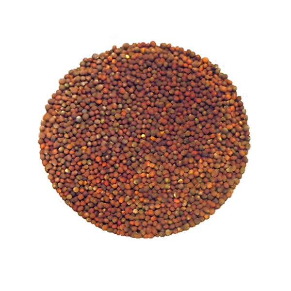 Choux en mélange à germer - Bio