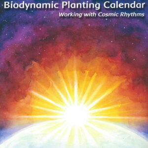 Stella Natura - Biodynamic Planting Calendar 2024_recto