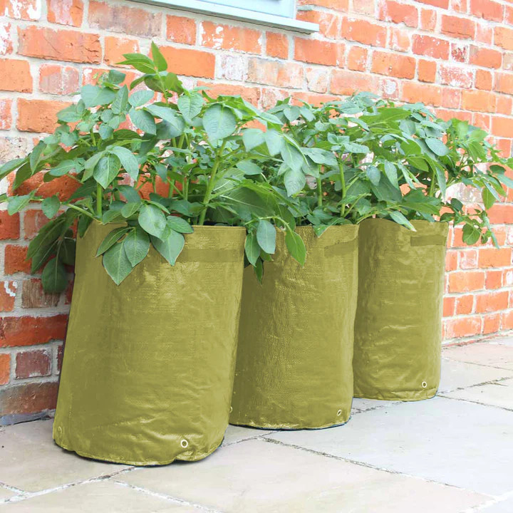 Achetez Sacs de Culture de Pommes de Terre Plancherie Vegetable Culture Sac  Breffire de Jardin en Tissu Non Tissé Sac de Culture Avec Des Poignées -  Vert / 7 Gallons de Chine