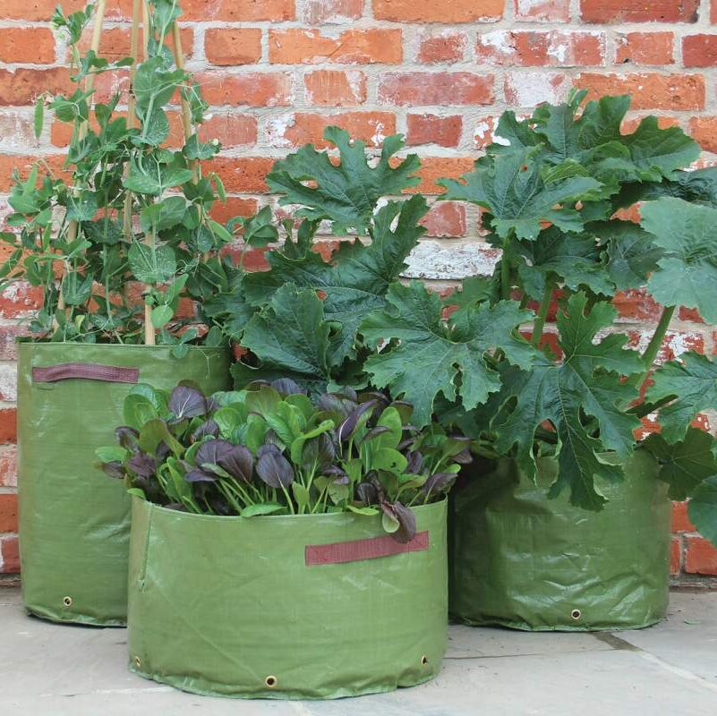 Sacs de plantation pour légumes de Haxnicks - Jardins de l'écoumène