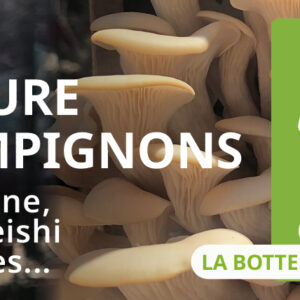 MODULE : La culture de champignons (en extérieur) – Les Urbainculteurs  boutique