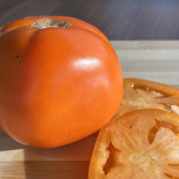 Tomate standard Valencie - Bio – Image 2