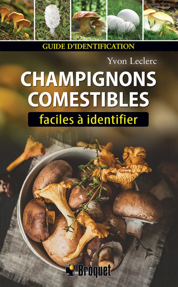 Champignons comestibles faciles à identifier_9782896546947_recto