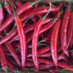 Piment fort Mélange (semences bio) – Les Urbainculteurs boutique