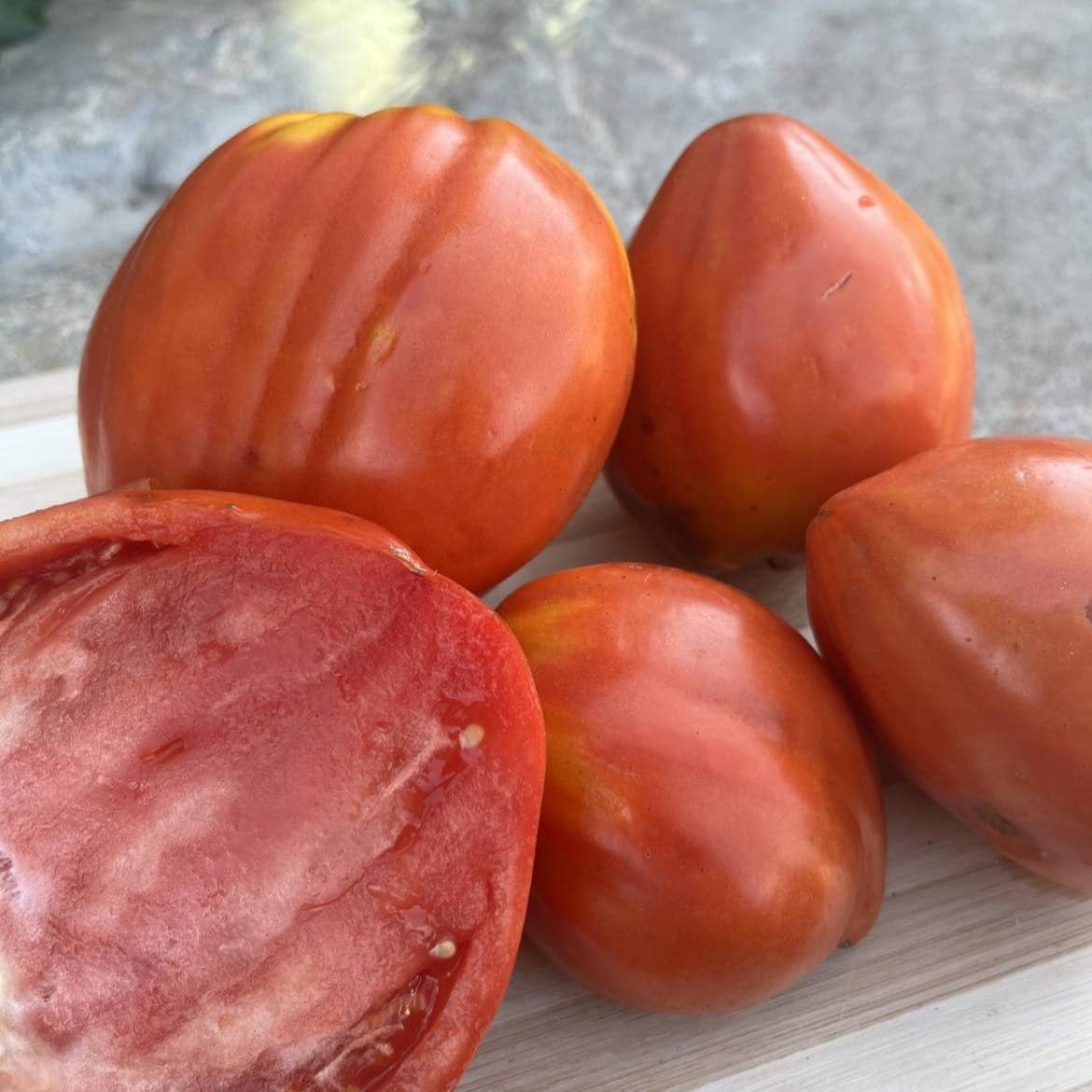 Tomate Coeur de boeuf graine semence bio, vente au meilleur prix