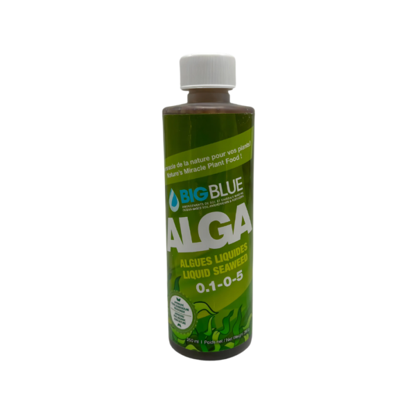 Algues liquides ALGA de BIG BLUE