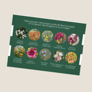 underneath - seed box - Flowers & bouquets