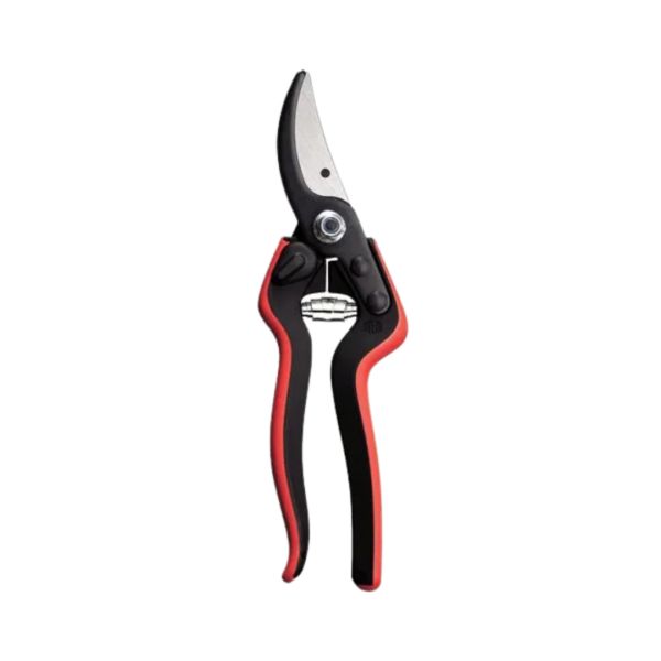 Sécateur professionnel de FELCO - Large