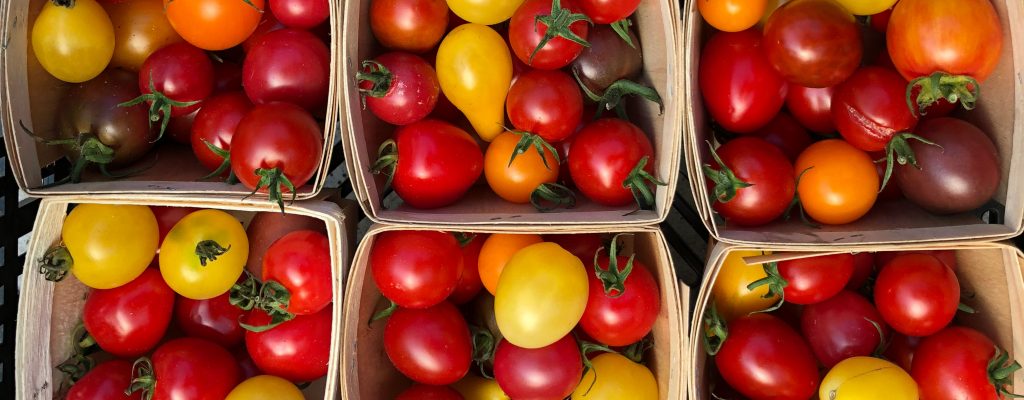 Semences bio de Tomate Japonaise basse