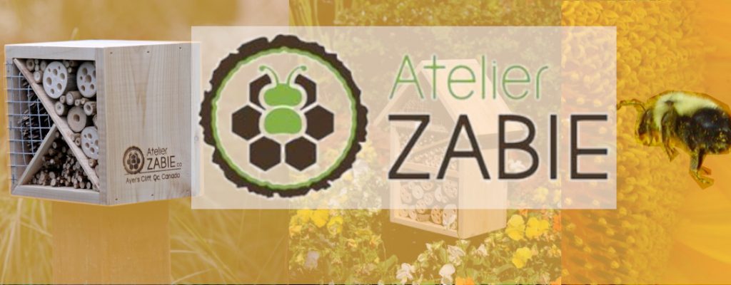 Atelier-ZabieVF