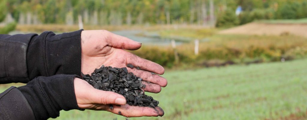 Biochar_IMG_7897