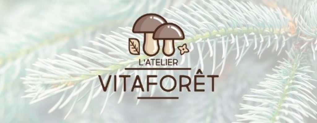 Sans titre